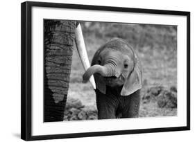 Close-Bjoern Alicke-Framed Photographic Print