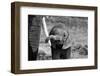 Close-Bjoern Alicke-Framed Photographic Print