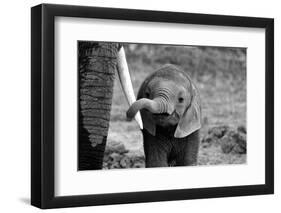 Close-Bjoern Alicke-Framed Photographic Print