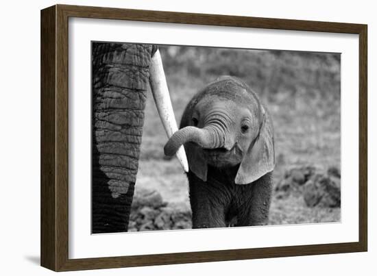 Close-Bjoern Alicke-Framed Photographic Print