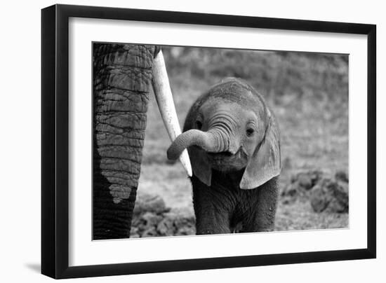 Close-Bjoern Alicke-Framed Photographic Print