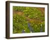 Closeup 5-Kevin Dodds-Framed Giclee Print