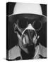 Closeup a A Man Wearing a Safety Helmet, Mask and Goggles-Andreas Feininger-Stretched Canvas