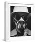 Closeup a A Man Wearing a Safety Helmet, Mask and Goggles-Andreas Feininger-Framed Photographic Print