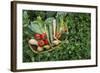 Closeup Elevated View of Fresh Vegetables in Basket Surrounded by Clover-Nosnibor137-Framed Photographic Print