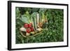 Closeup Elevated View of Fresh Vegetables in Basket Surrounded by Clover-Nosnibor137-Framed Photographic Print