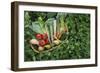 Closeup Elevated View of Fresh Vegetables in Basket Surrounded by Clover-Nosnibor137-Framed Photographic Print