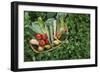 Closeup Elevated View of Fresh Vegetables in Basket Surrounded by Clover-Nosnibor137-Framed Photographic Print