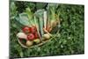Closeup Elevated View of Fresh Vegetables in Basket Surrounded by Clover-Nosnibor137-Mounted Photographic Print