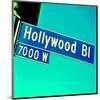 Closeup Hollywood Boulevard CA-null-Mounted Art Print