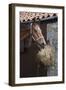 Closeup of a Brown Horse Eating Hay outside Stable-Nosnibor137-Framed Photographic Print