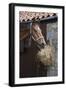 Closeup of a Brown Horse Eating Hay outside Stable-Nosnibor137-Framed Photographic Print