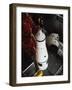 Closeup of a Command Module-null-Framed Photographic Print