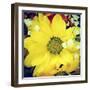 Closeup Of A Flower Bouquet, With A Retro Effect-nito-Framed Photographic Print