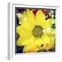 Closeup Of A Flower Bouquet, With A Retro Effect-nito-Framed Photographic Print