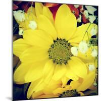 Closeup Of A Flower Bouquet, With A Retro Effect-nito-Mounted Photographic Print