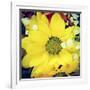 Closeup Of A Flower Bouquet, With A Retro Effect-nito-Framed Photographic Print