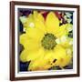 Closeup Of A Flower Bouquet, With A Retro Effect-nito-Framed Photographic Print