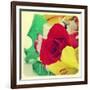 Closeup Of A Flower Bouquet With Roses, Daisies, Carnations And Other Flowers, With A Retro Effect-nito-Framed Art Print