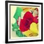 Closeup Of A Flower Bouquet With Roses, Daisies, Carnations And Other Flowers, With A Retro Effect-nito-Framed Art Print