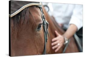 Closeup of a Horse Head with Detail on the Eye and on Rider Hand. Harnessed Horse Being Lead-iancucristi-Stretched Canvas