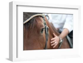 Closeup of a Horse Head with Detail on the Eye and on Rider Hand. Harnessed Horse Being Lead-iancucristi-Framed Photographic Print