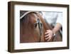 Closeup of a Horse Head with Detail on the Eye and on Rider Hand. Harnessed Horse Being Lead-iancucristi-Framed Photographic Print