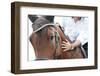 Closeup of a Horse Head with Detail on the Eye and on Rider Hand. Harnessed Horse Being Lead-iancucristi-Framed Photographic Print