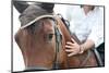 Closeup of a Horse Head with Detail on the Eye and on Rider Hand. Harnessed Horse Being Lead-iancucristi-Mounted Photographic Print