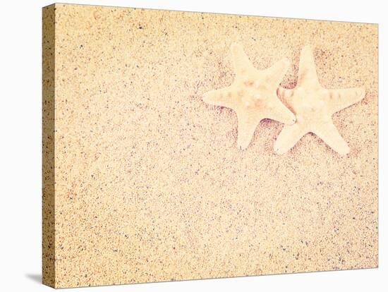 Closeup of a Starfish on the Sand of a Beach, with a Retro Effect-melking-Stretched Canvas