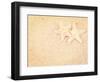 Closeup of a Starfish on the Sand of a Beach, with a Retro Effect-melking-Framed Photographic Print