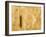 Closeup of Barley, East Himalayas, Tibet, China-Keren Su-Framed Photographic Print