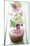 Closeup of Beautiful Summer Cupcake with Strawberry Flavoured Cream-looby-Mounted Photographic Print