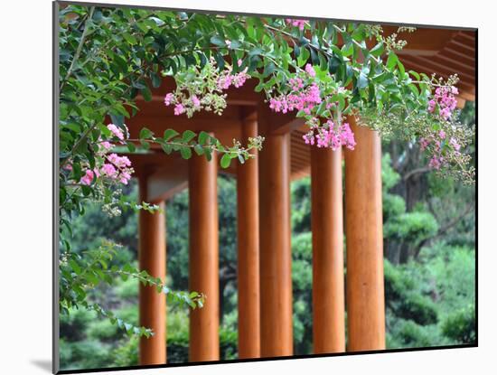 Closeup of Chinese Garden Pavilion-sevenke-Mounted Photographic Print