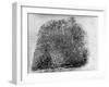 Closeup of Fingerprint of a Teenage Girl Who Is a Twin-null-Framed Photographic Print