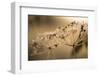 Closeup of hoarfrost crystalline on dry plant, blurred background-Paivi Vikstrom-Framed Photographic Print