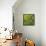 Closeup of Leaf-Micha Pawlitzki-Framed Stretched Canvas displayed on a wall
