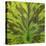 Closeup of Leaf-Micha Pawlitzki-Stretched Canvas