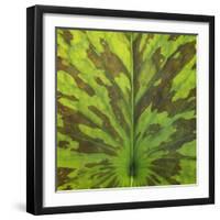 Closeup of Leaf-Micha Pawlitzki-Framed Premium Photographic Print