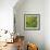 Closeup of Leaf-Micha Pawlitzki-Framed Premium Photographic Print displayed on a wall