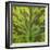 Closeup of Leaf-Micha Pawlitzki-Framed Premium Photographic Print