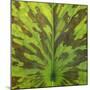 Closeup of Leaf-Micha Pawlitzki-Mounted Premium Photographic Print