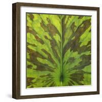 Closeup of Leaf-Micha Pawlitzki-Framed Photographic Print