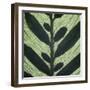 Closeup of Leaf-Micha Pawlitzki-Framed Photographic Print