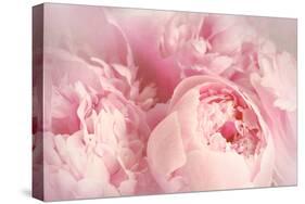 Closeup of Peony Flowers-Sandralise-Stretched Canvas