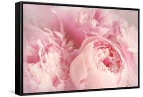 Closeup of Peony Flowers-Sandralise-Framed Stretched Canvas