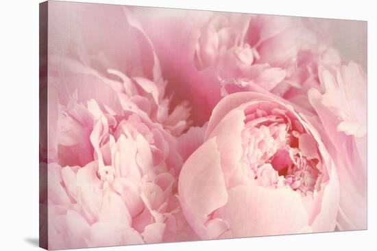 Closeup of Peony Flowers-Sandralise-Stretched Canvas