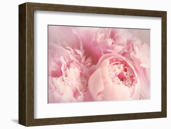 Closeup of Peony Flowers-Sandralise-Framed Premium Photographic Print