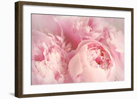 Closeup of Peony Flowers-Sandralise-Framed Photographic Print