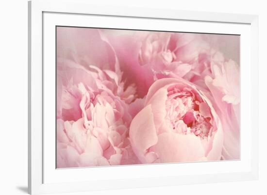 Closeup of Peony Flowers-Sandralise-Framed Photographic Print